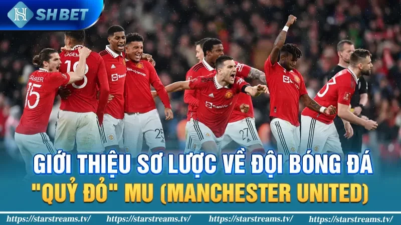 MU có bao nhiêu cúp C1? Những "công thần" tạo ấn tượng ở C1 1 Giới thiệu sơ lược về đội bóng đá "Quỷ Đỏ" MU (Manchester United)